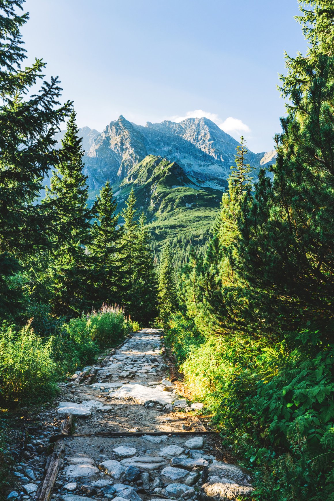 Hiking Trail in Tatra Mountains in Poland